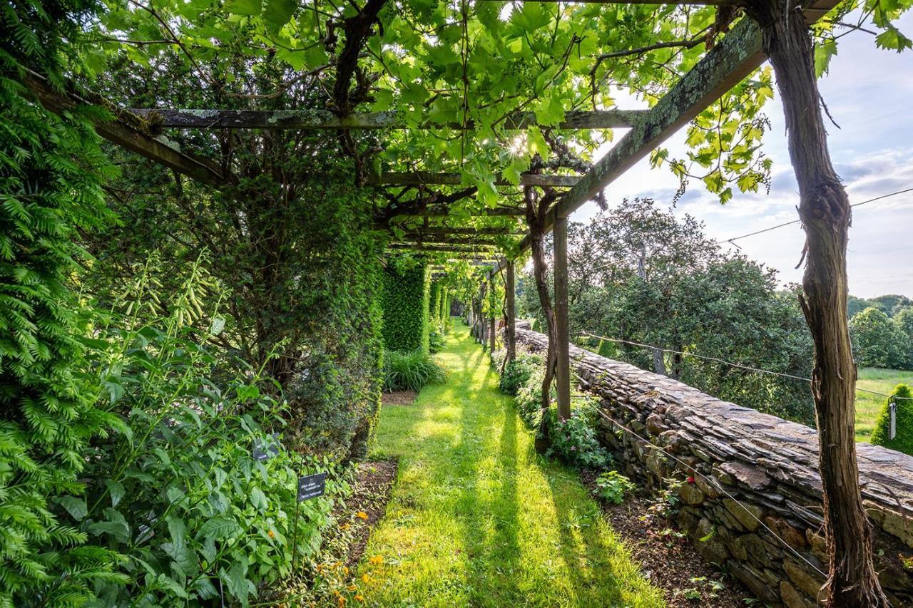 فندق Saint-Saturnin-sur-Loireفي  Manoir De La Groye المظهر الخارجي الصورة