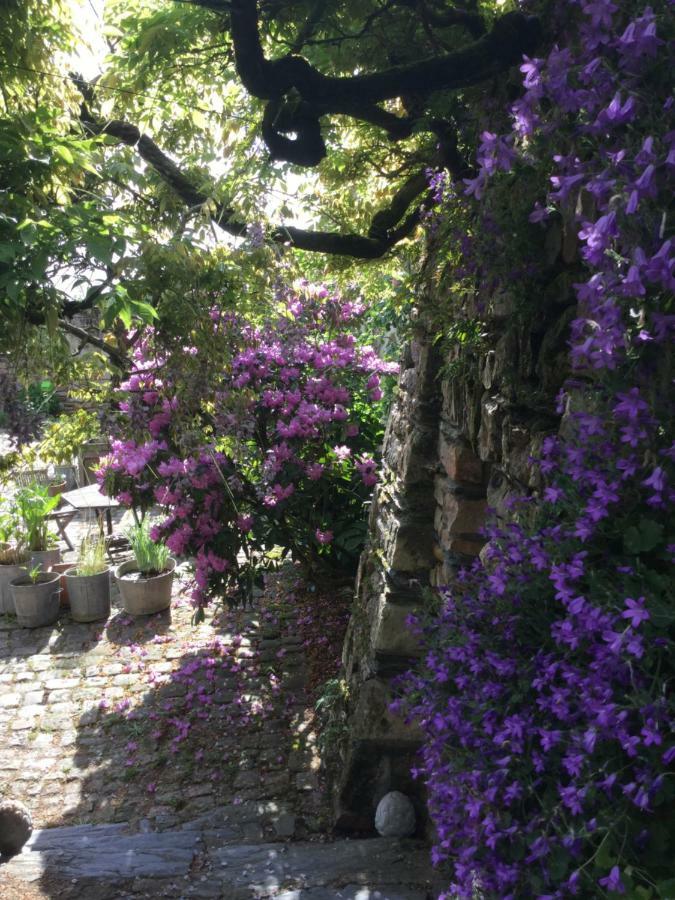 فندق Saint-Saturnin-sur-Loireفي  Manoir De La Groye المظهر الخارجي الصورة