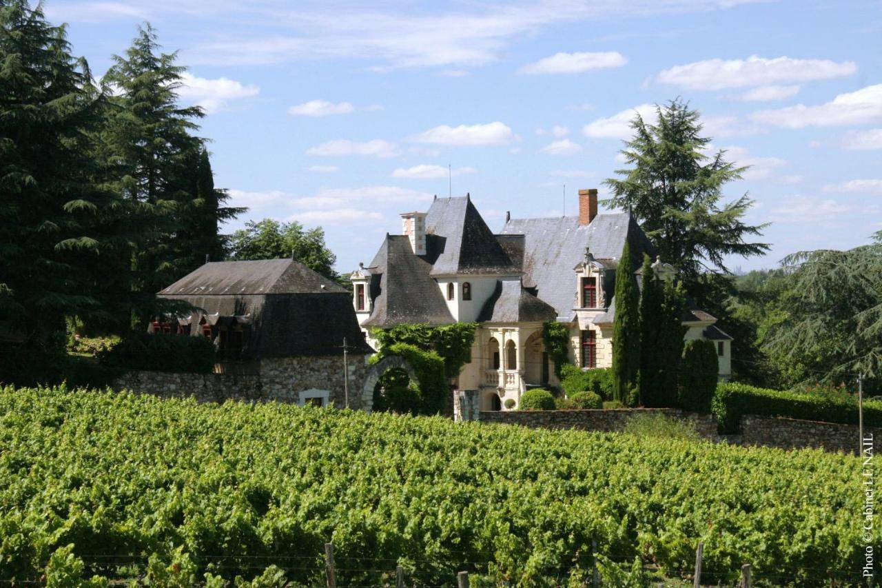فندق Saint-Saturnin-sur-Loireفي  Manoir De La Groye المظهر الخارجي الصورة