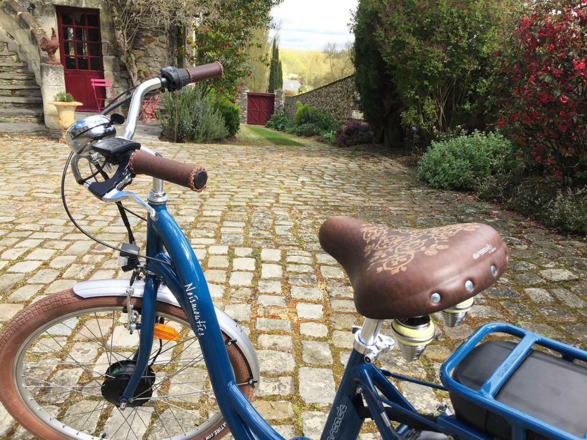 فندق Saint-Saturnin-sur-Loireفي  Manoir De La Groye المظهر الخارجي الصورة